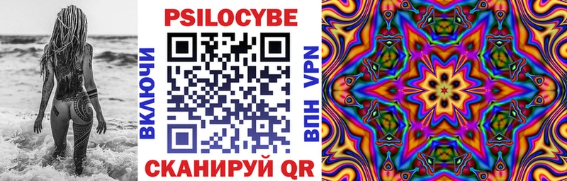 Псилоцибиновые грибы Cubensis  где купить   Коммунар 